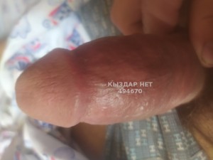 Жиголо Караганды Анкета №494670 Фотография №3729502